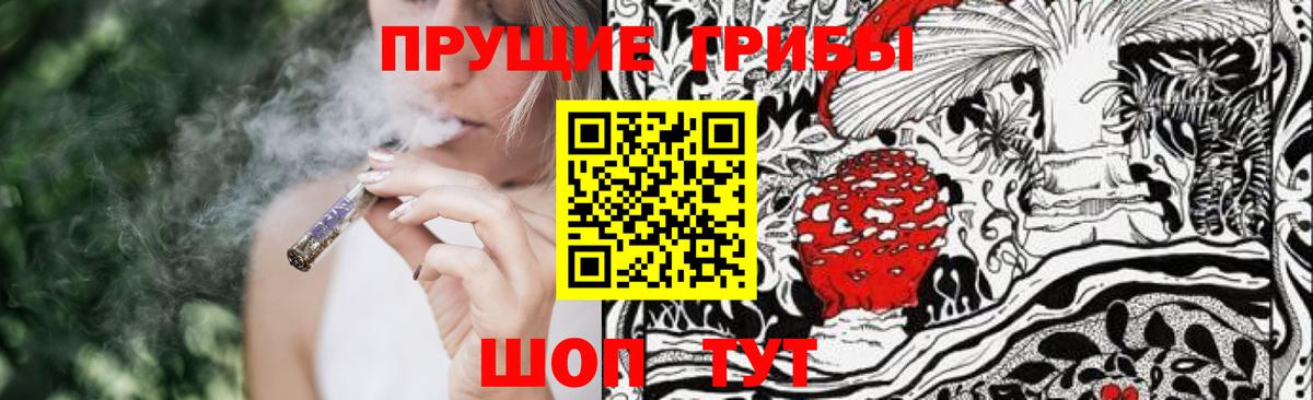 Псилоцибиновые грибы Psilocybe  Вход с VPN  где можно купить   Череповец 